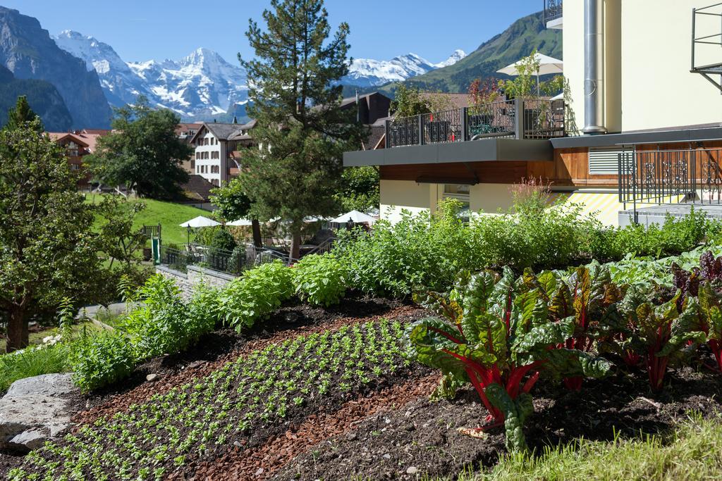 Hotel Schönegg Wengen Exterior foto